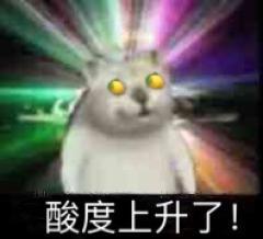 憨憨猫 魔性MUR猫微信表情包