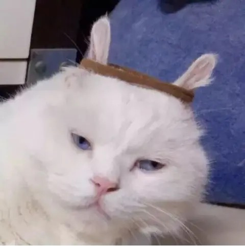 逗比沙雕微信头像