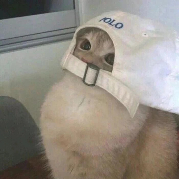 逗比沙雕微信头像