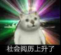 憨憨猫 魔性MUR猫微信表情包