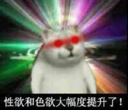 憨憨猫 魔性MUR猫微信表情包