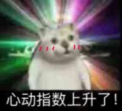 憨憨猫 魔性MUR猫微信表情包