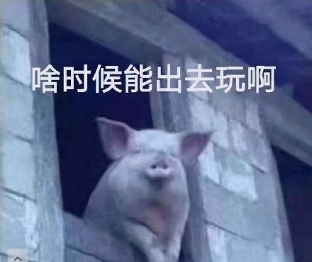 好想出去玩！ ​微信恶搞斗图表情包