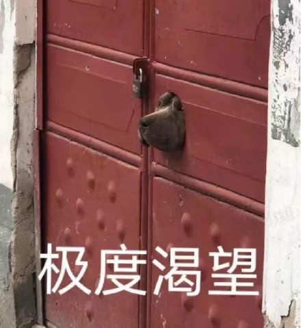 好想出去玩！ ​微信恶搞斗图表情包