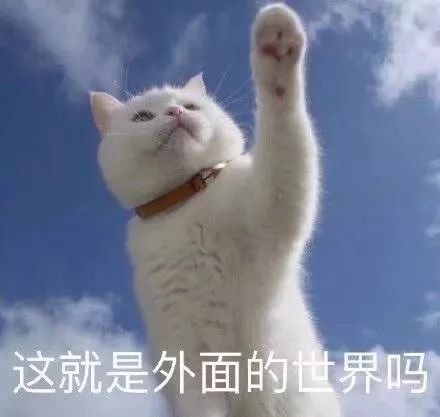 好想出去玩！ ​微信恶搞斗图表情包