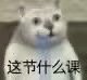 憨憨猫上网课表情包