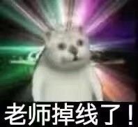 憨憨猫上网课表情包