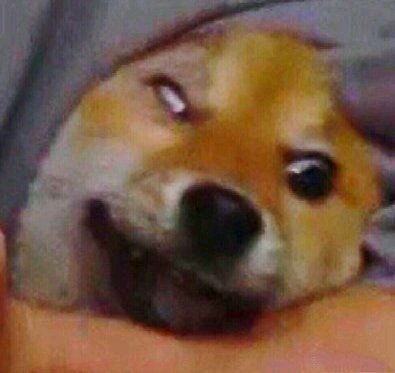 微信若有所思恶搞斗图表情包