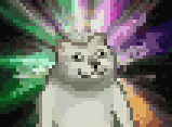 憨憨猫上网课表情包