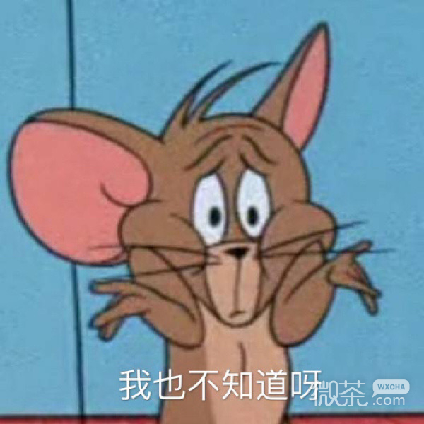 搞怪带字的微信猫和老鼠表情包
