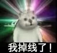 憨憨猫上网课表情包
