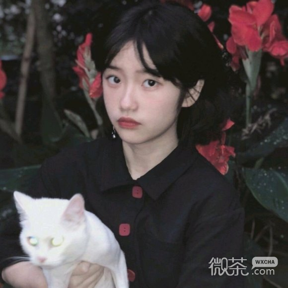 微信最潮可爱女生头像
