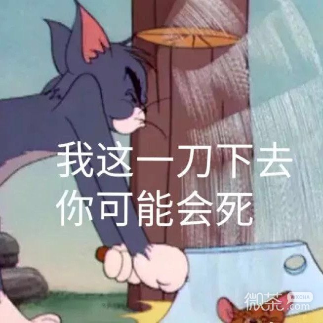搞怪带字的微信猫和老鼠表情包