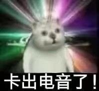 憨憨猫上网课表情包