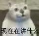 憨憨猫上网课表情包