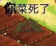 微信今日精选沙雕斗图表情包