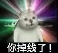 憨憨猫上网课表情包