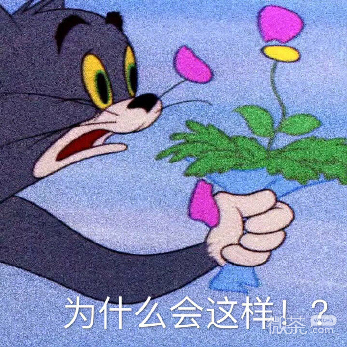 搞怪带字的微信猫和老鼠表情包