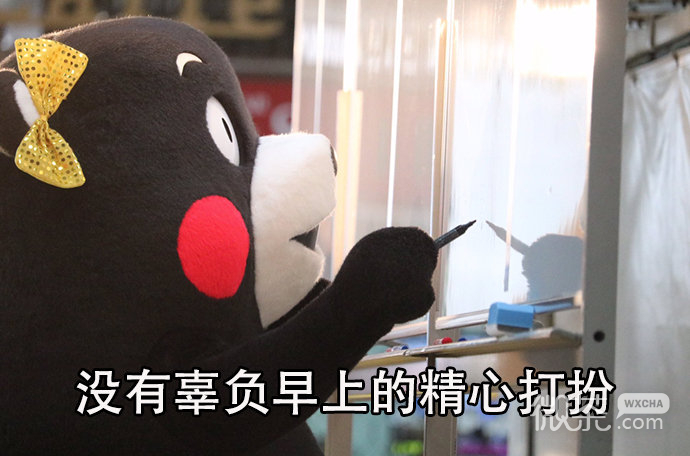 人一定要努力微信熊本熊带字表情包