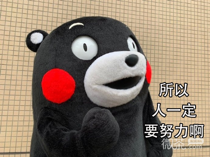 人一定要努力微信熊本熊带字表情包