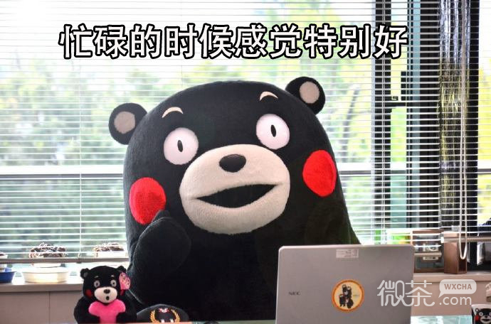 人一定要努力微信熊本熊带字表情包