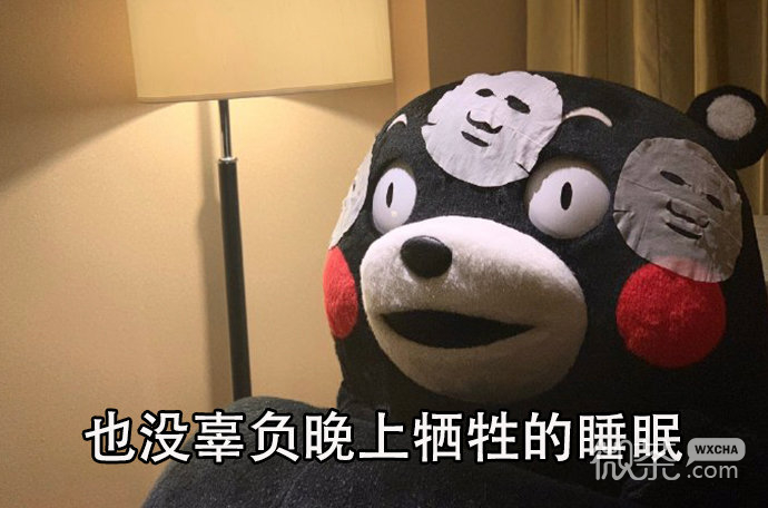 人一定要努力微信熊本熊带字表情包