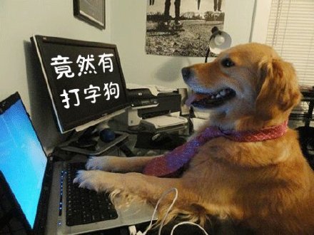 吃惊恶搞斗图微信表情包