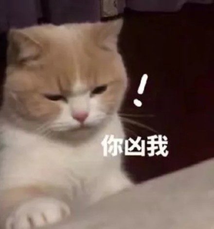 微信每日精选沙雕斗图表情包第二弹