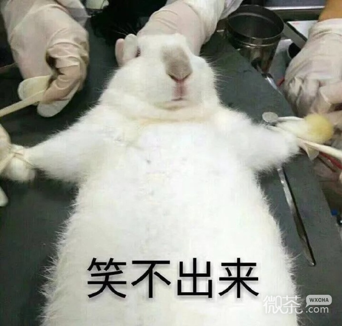 医学生专用的微信带字表情包