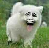 吃惊恶搞斗图微信表情包