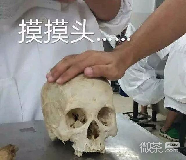 医学生专用的微信带字表情包