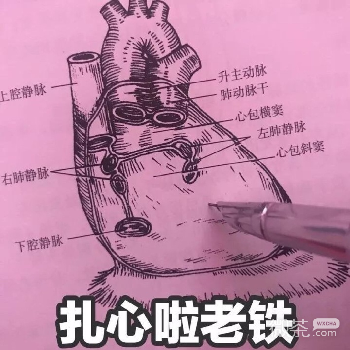 医学生专用的微信带字表情包