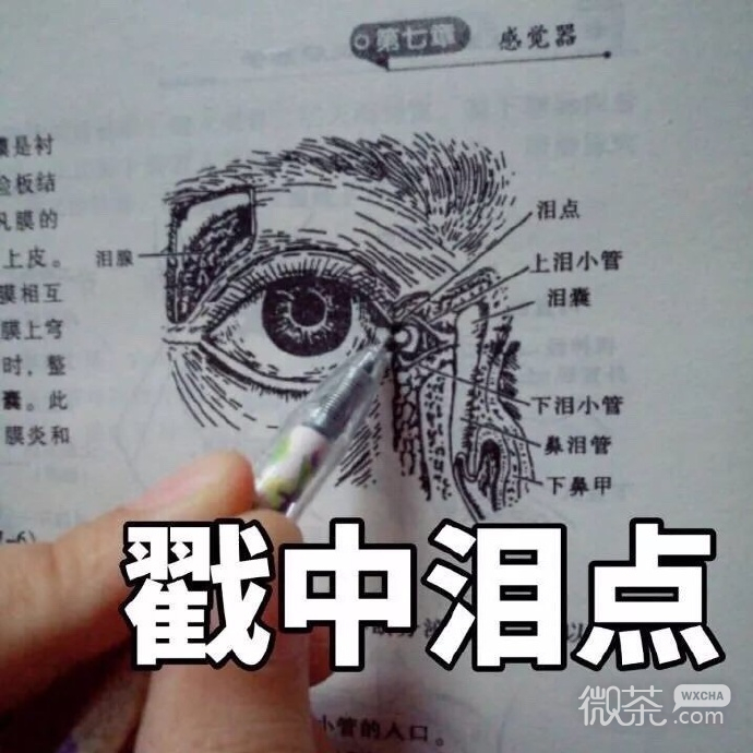 医学生专用的微信带字表情包