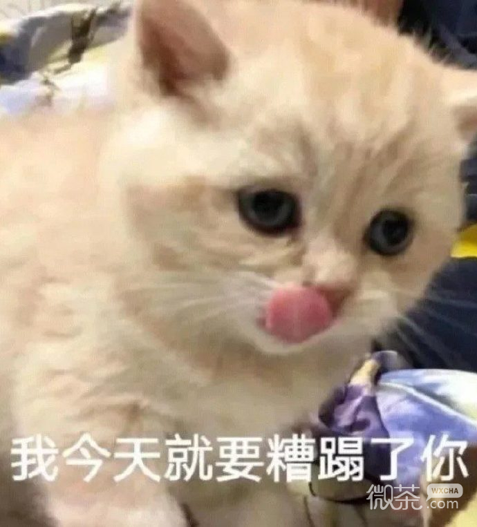 微信每日精选沙雕斗图表情包第二弹