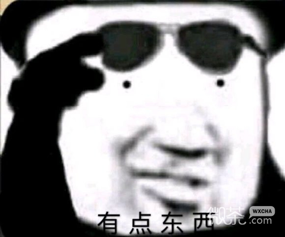 意气风发微信恶搞斗图表情包