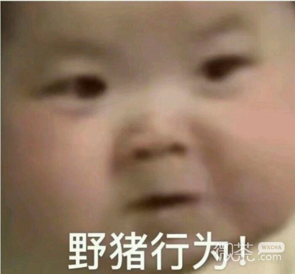 微信近期斗图恶搞表情包2020/3/29