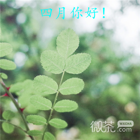 四月你好微信唯美带字图片