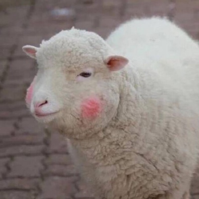 沙雕人士专属的微信搞笑头像合集