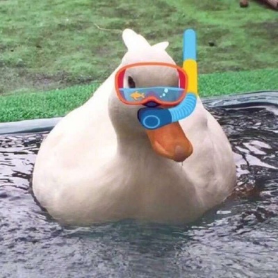 沙雕人士专属的微信搞笑头像合集