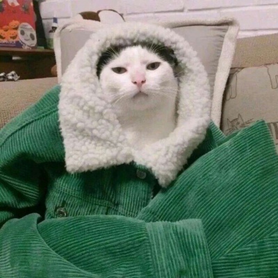 沙雕逗比微信最新搞笑头像