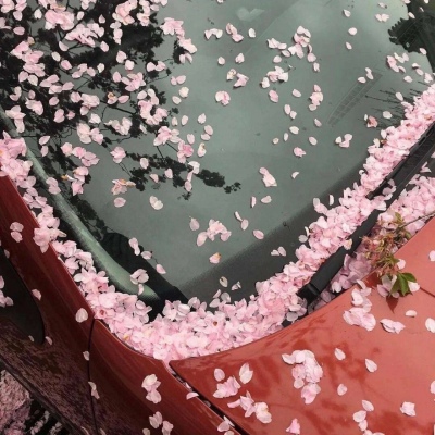 高清有意境的微信唯美静物头像