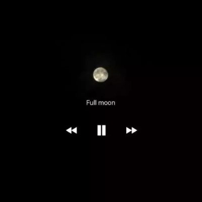 高清有意境的微信唯美静物头像