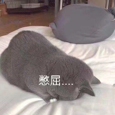 憋屈微信恶搞斗图表情包
