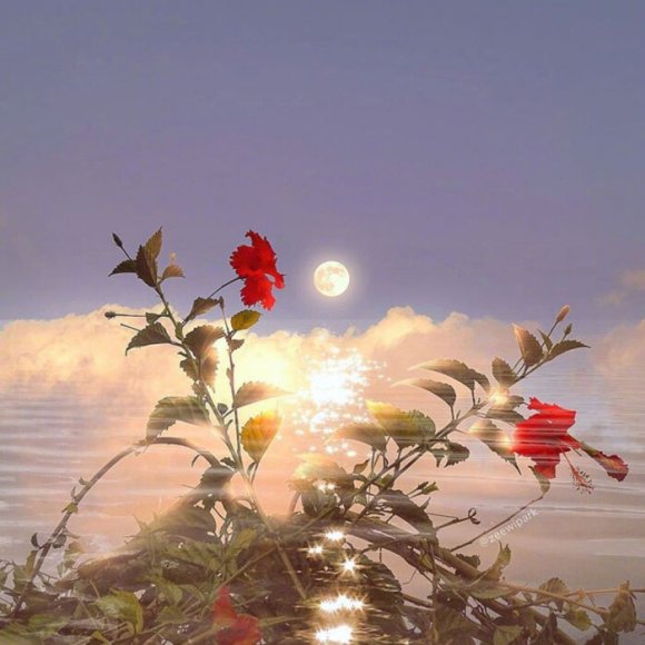 伤感街景微信朋友圈配图