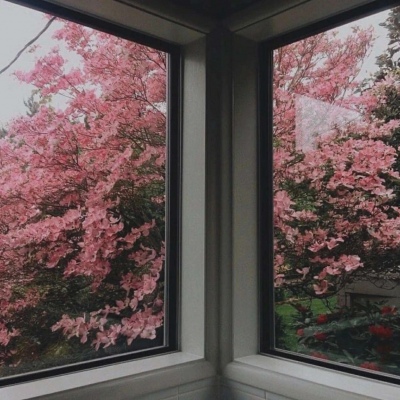 高清有意境的微信唯美静物头像