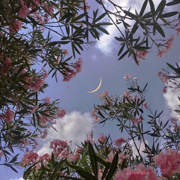 伤感街景微信朋友圈配图