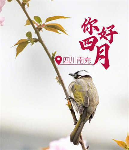 微信最新四月你好系列朋友圈配图