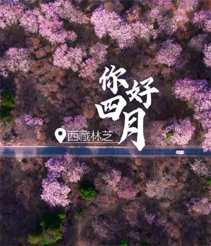 微信最新四月你好系列朋友圈配图