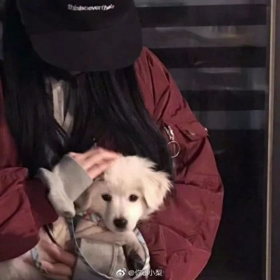 沙雕有个性的微信情侣头像合集