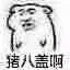 微信可爱聊天小表情
